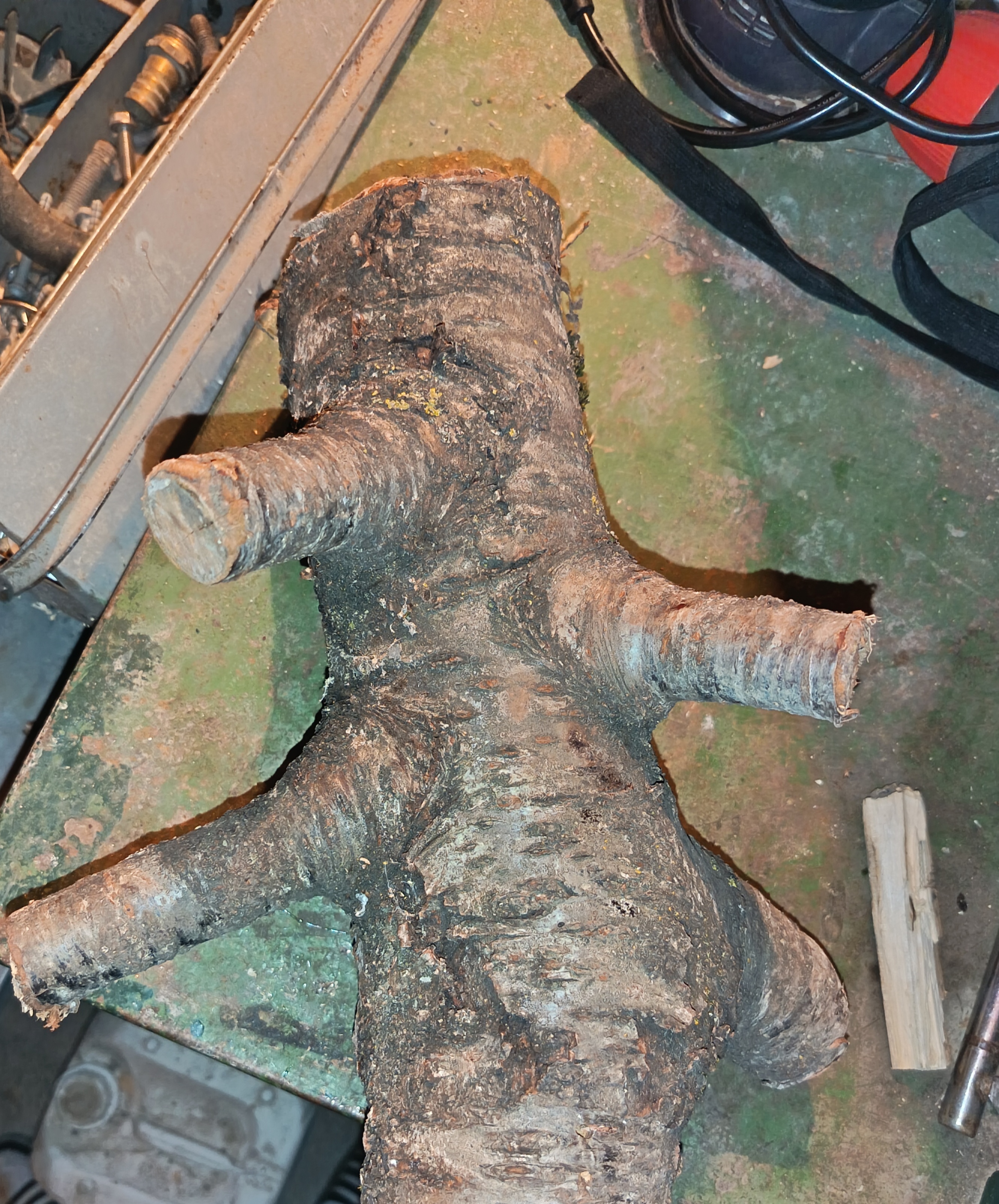 დაუმუშავებელი ნამუშევარი