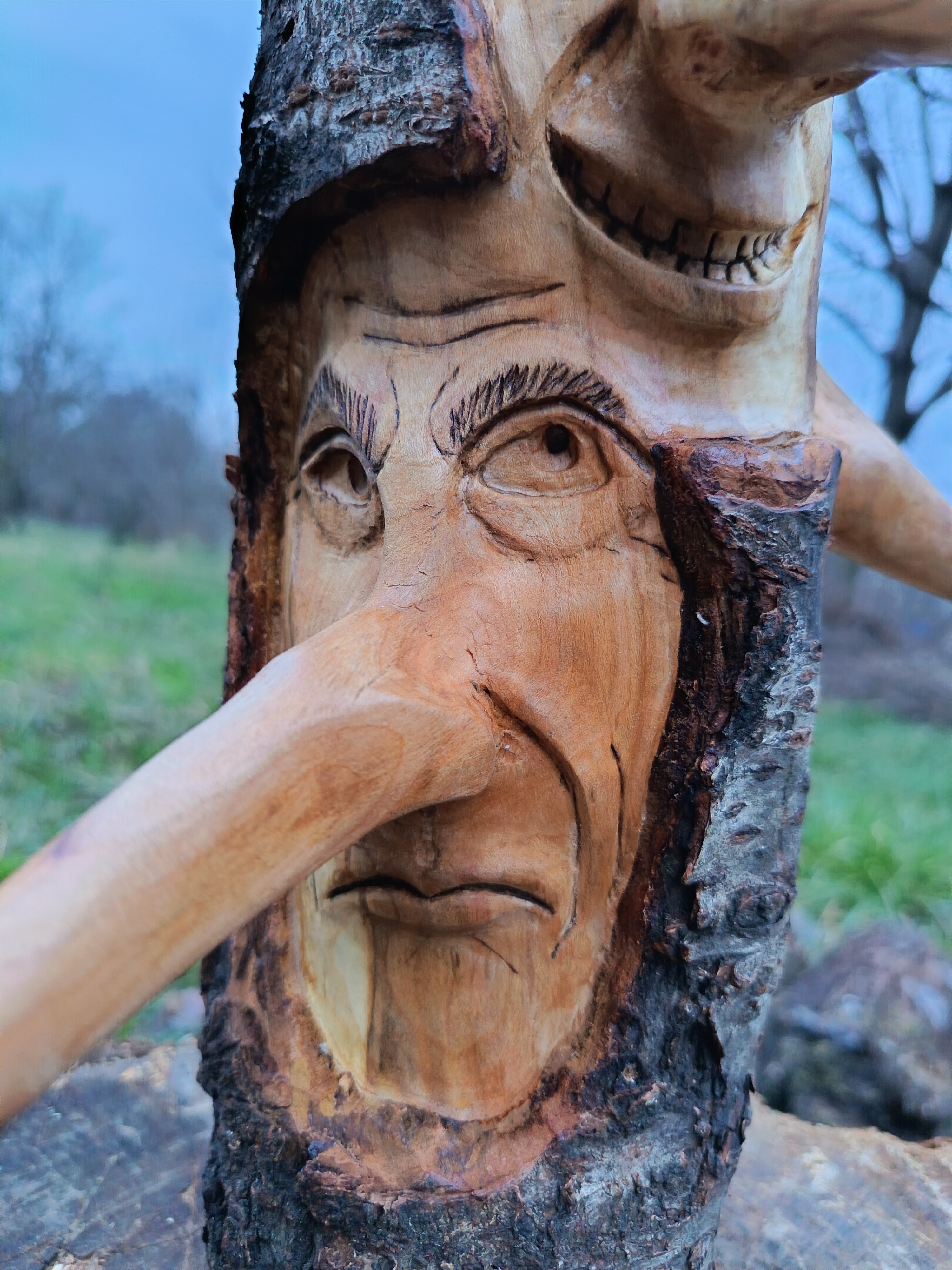 შური — სახეების სერია