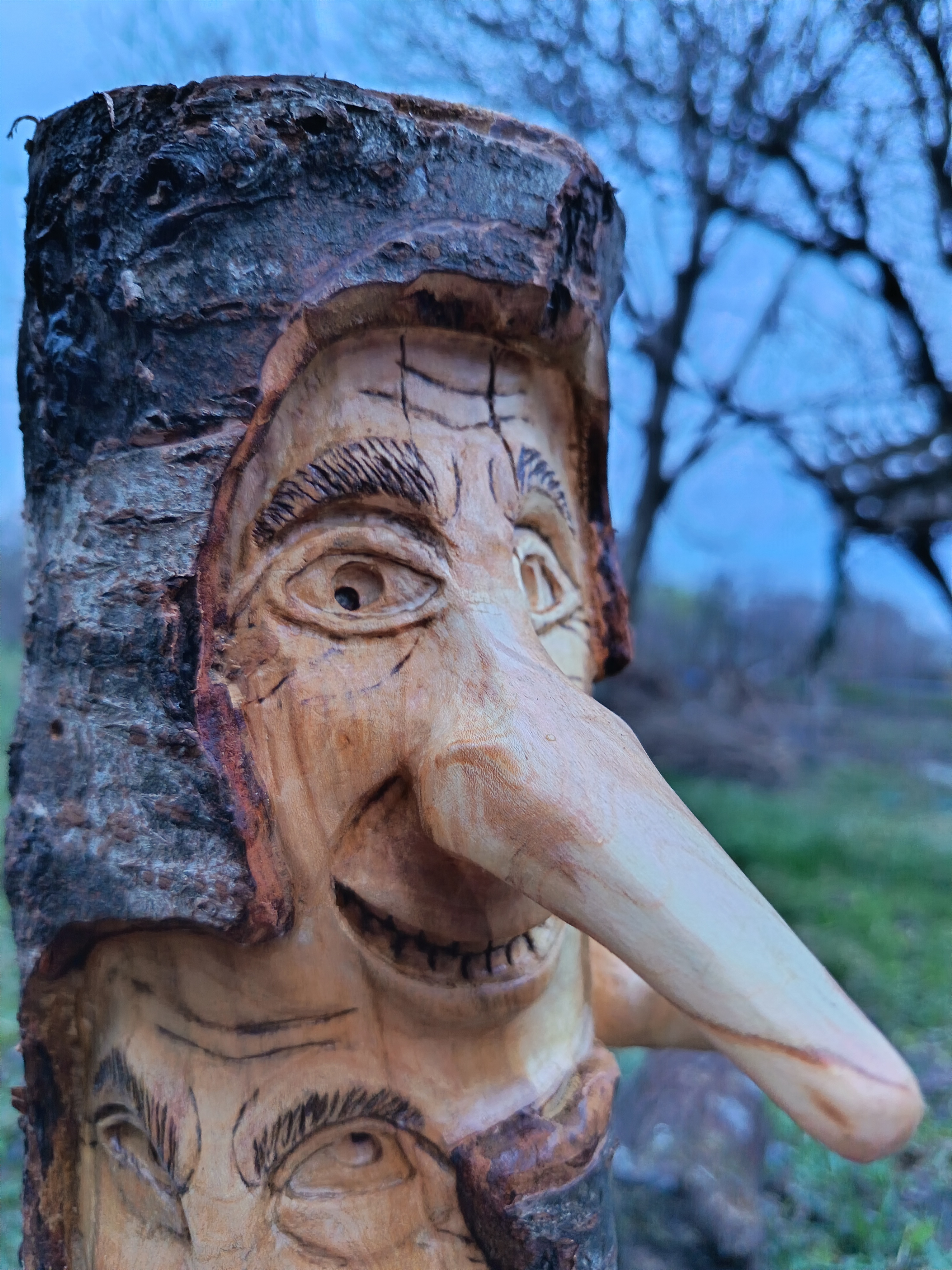 ბედნიერება — სახეების სერია