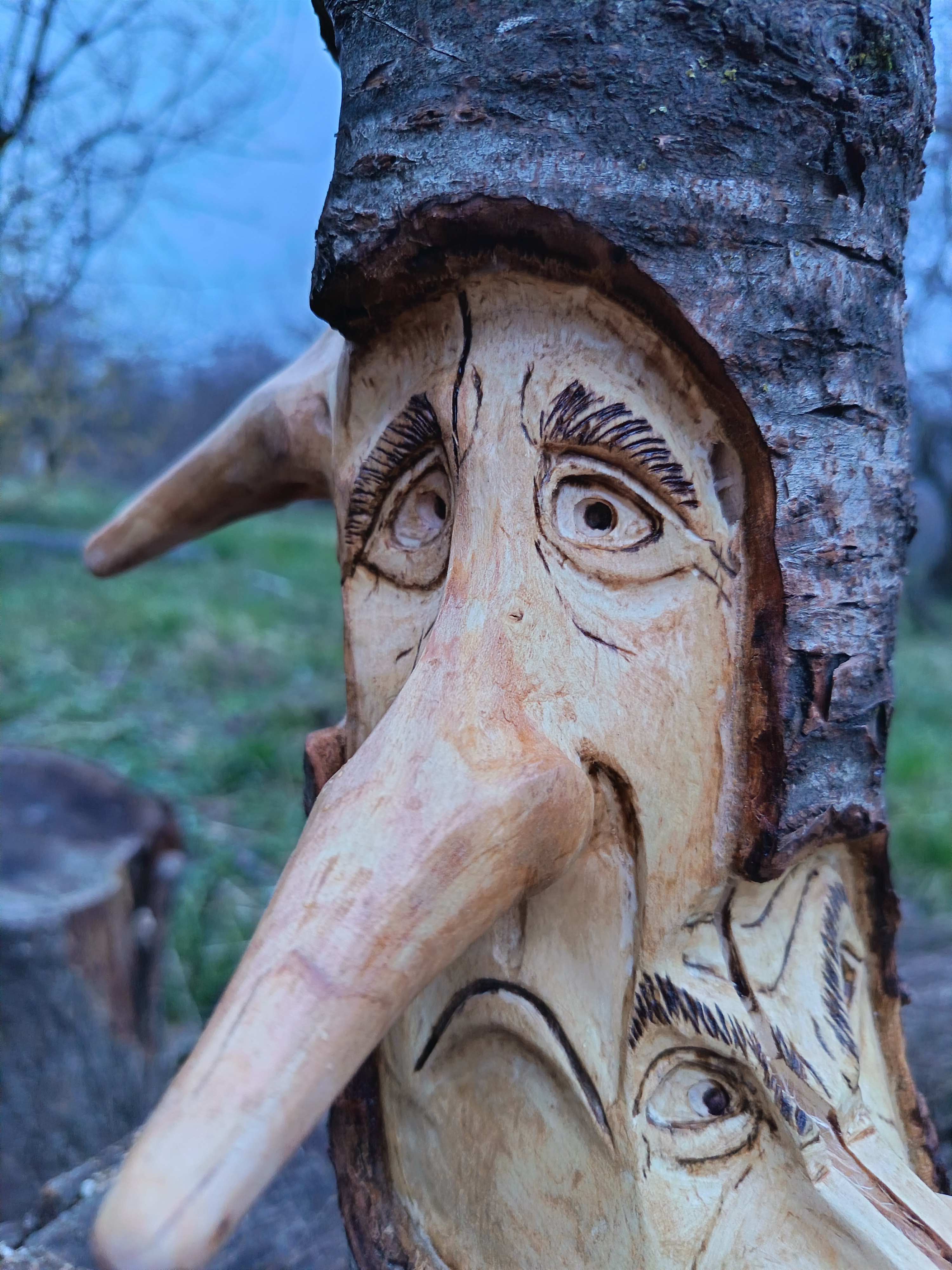 სევდა — სახეების სერია