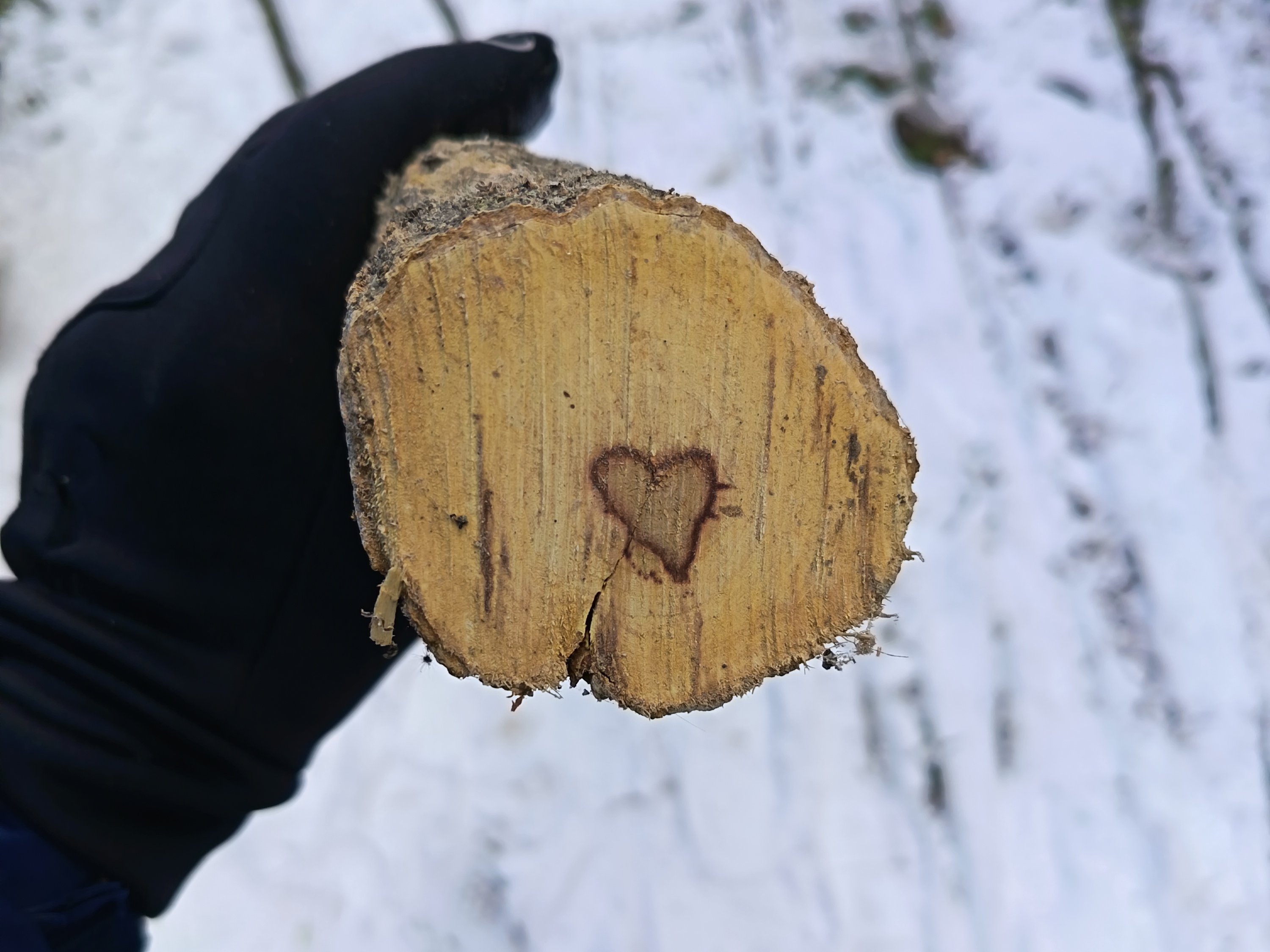 ოსტატი მუშაობს